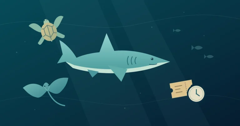 Shark Reef con niños: entrada al acuario o experiencia con animales